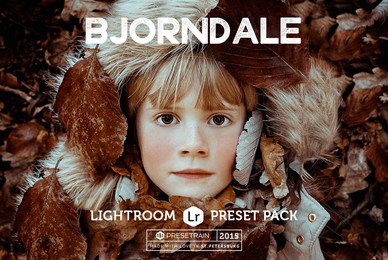 Bjorndale Lightroom Preset Pack